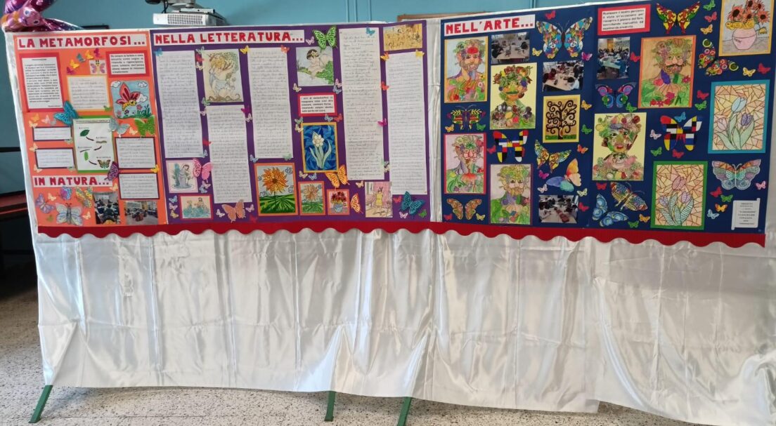 conca mostra 23-24 primaria
